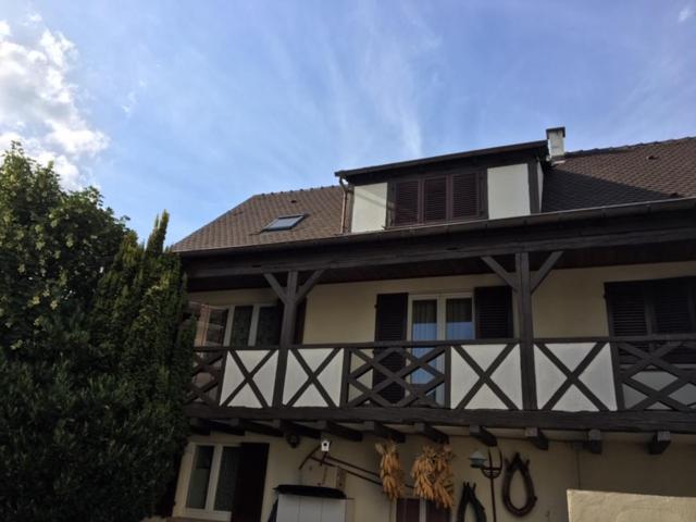 Villa Les Hibiscus Andolsheim Exterior foto